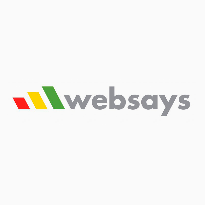 Websays (2016-2017)